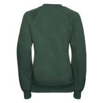 Kids Classic Raglan Crew Sweatshirt - JSK762-bottle-back
