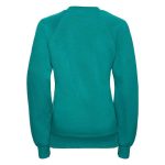 Kids Classic Raglan Crew Sweatshirt - JSK762-emerald-back