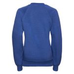 Kids Classic Raglan Crew Sweatshirt - JSK762-royal-blue-back