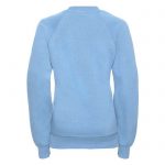 Kids Classic Raglan Crew Sweatshirt - JSK762-sky-back