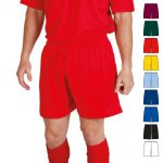 Adults Micromesh Football Short TFSA02