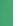 Kelly Green/White
