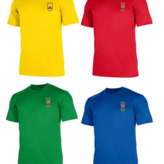 Goldenhill Primary School Gym T-Shirt Embroidered