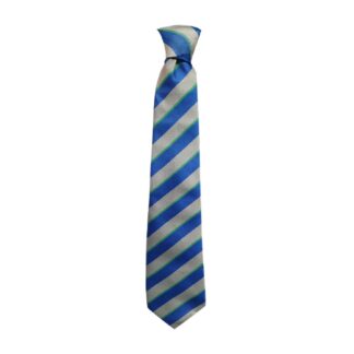 Dargavel Primary School Tie Elasticated & Standard